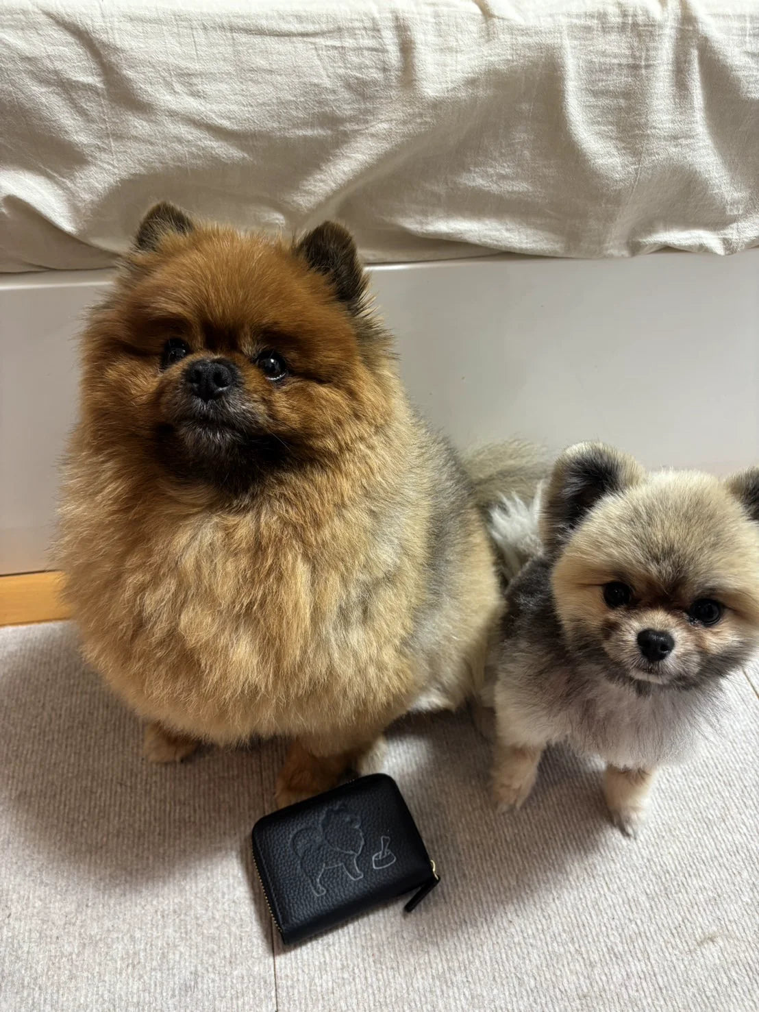 両爬工房 - 動物モチーフの革財布