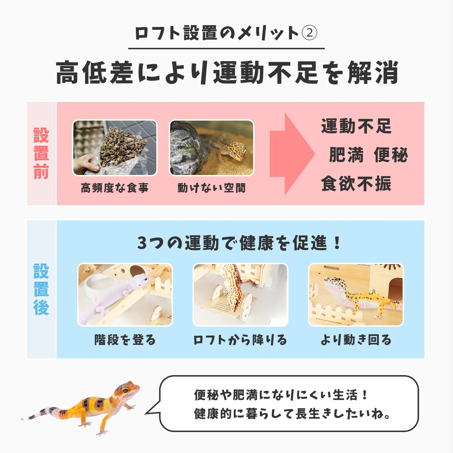 はちゅれちっく ロフト 2階建て 木製