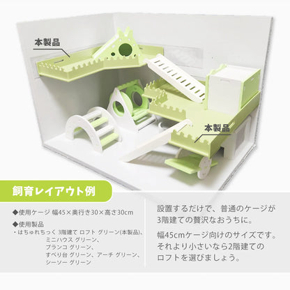 はちゅれちっく ロフト 3階建て グリーン